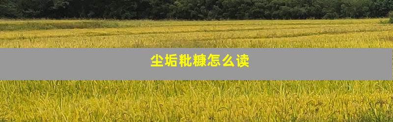 尘垢粃糠怎么读
