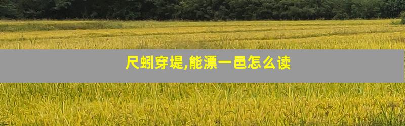 尺蚓穿堤,能漂一邑怎么读
