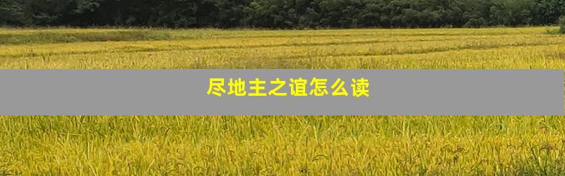 尽地主之谊怎么读