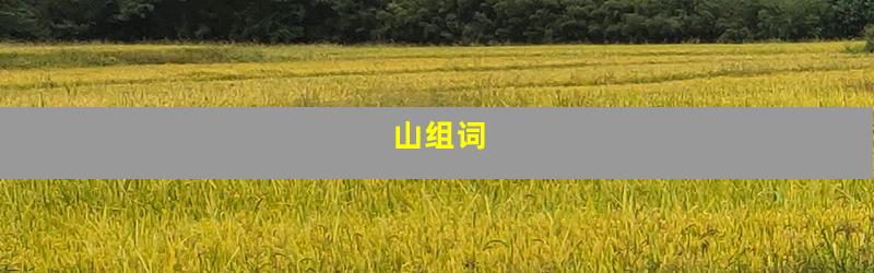山组词