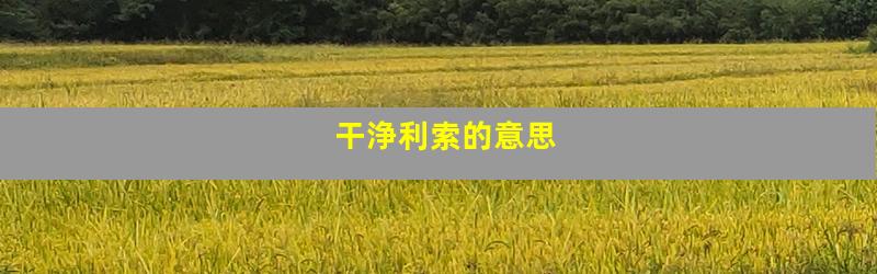 干浄利索的意思