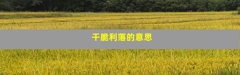 干脆利落的意思