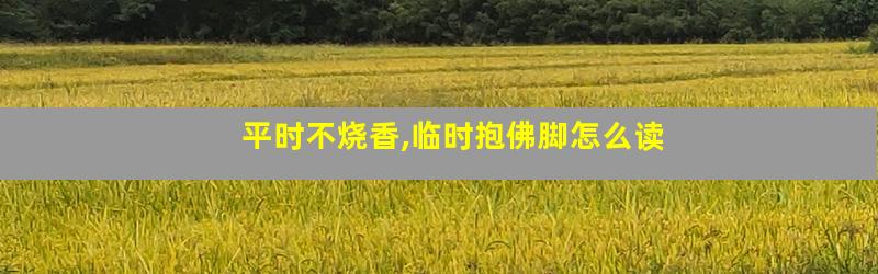 平时不烧香,临时抱佛脚怎么读