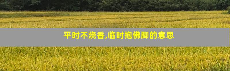 平时不烧香,临时抱佛脚的意思