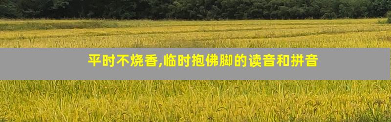 平时不烧香,临时抱佛脚的读音和拼音