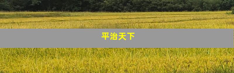 平治天下