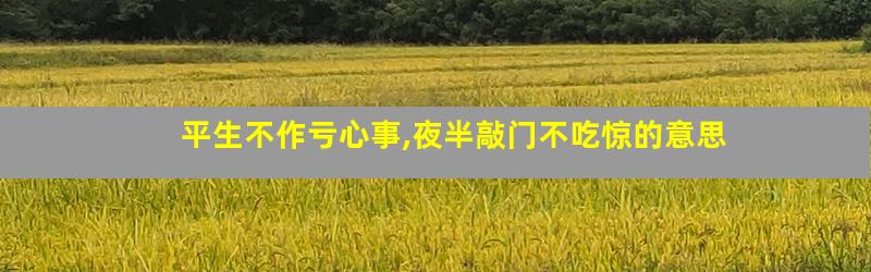 平生不作亏心事,夜半敲门不吃惊的意思