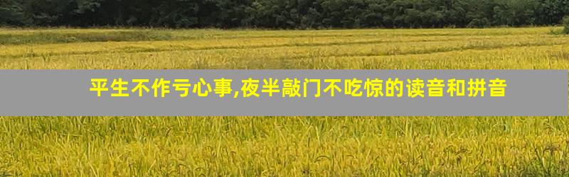 平生不作亏心事,夜半敲门不吃惊的读音和拼音
