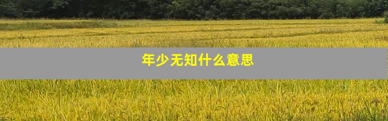 年少无知什么意思