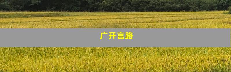 广开言路