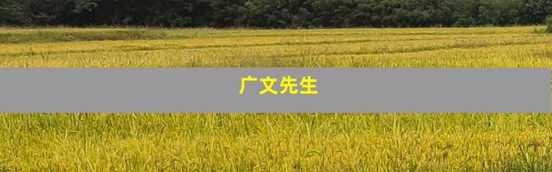 广文先生