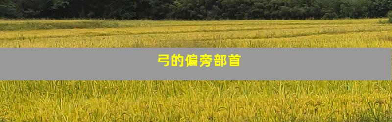 弓的偏旁部首
