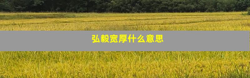 弘毅宽厚什么意思