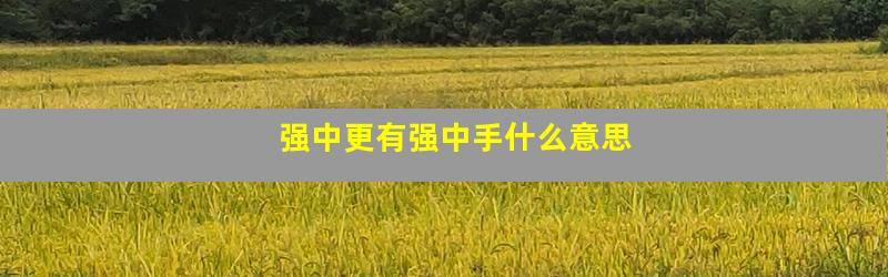强中更有强中手什么意思