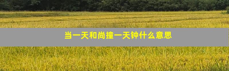 当一天和尚撞一天钟什么意思