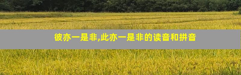 彼亦一是非,此亦一是非的读音和拼音