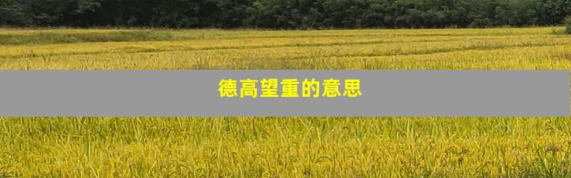 德高望重的意思