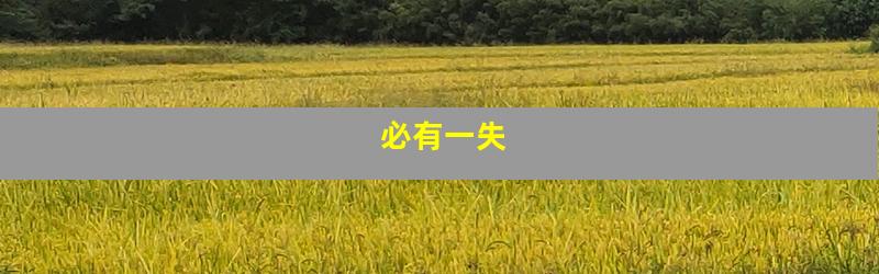 必有一失
