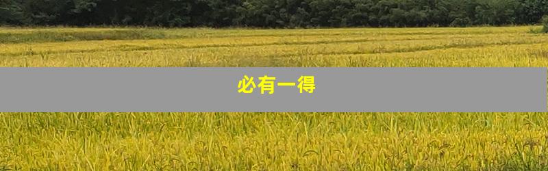 必有一得
