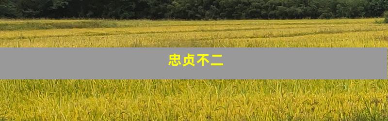 忠贞不二