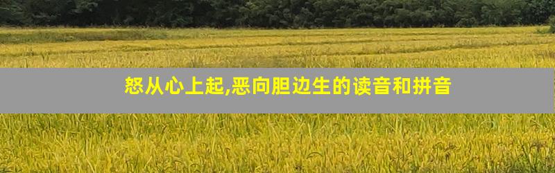 怒从心上起,恶向胆边生的读音和拼音