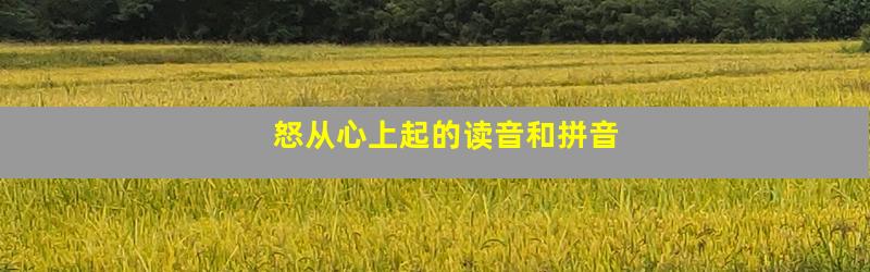 怒从心上起的读音和拼音