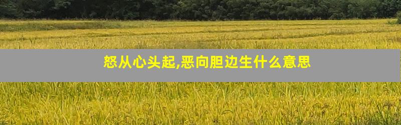 怒从心头起,恶向胆边生什么意思