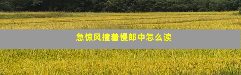 急惊风撞着慢郎中怎么读