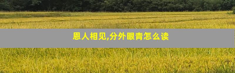 恩人相见,分外眼青怎么读
