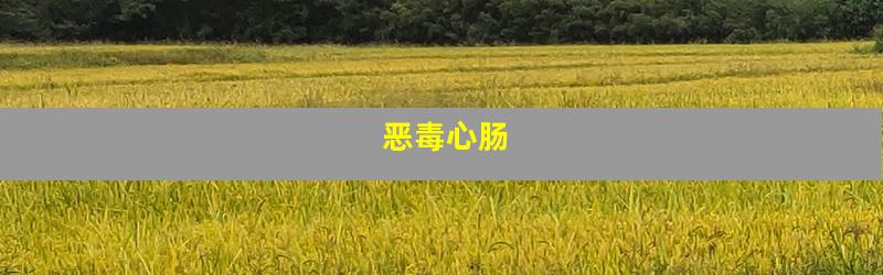 恶毒心肠