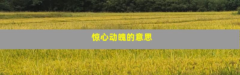 惊心动魄的意思