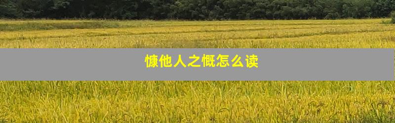 慷他人之慨怎么读