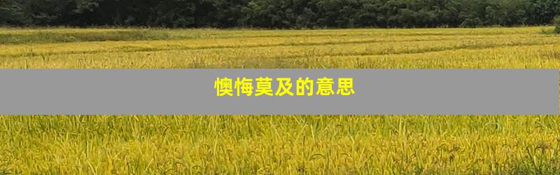 懊悔莫及的意思