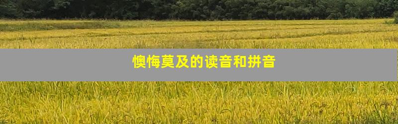 懊悔莫及的读音和拼音