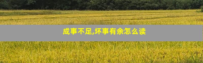 成事不足,坏事有余怎么读