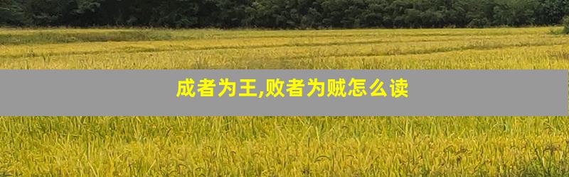 成者为王,败者为贼怎么读