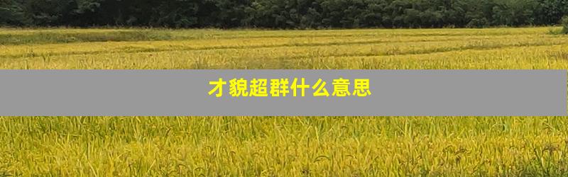 才貌超群什么意思