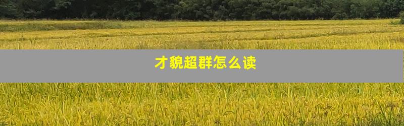才貌超群怎么读
