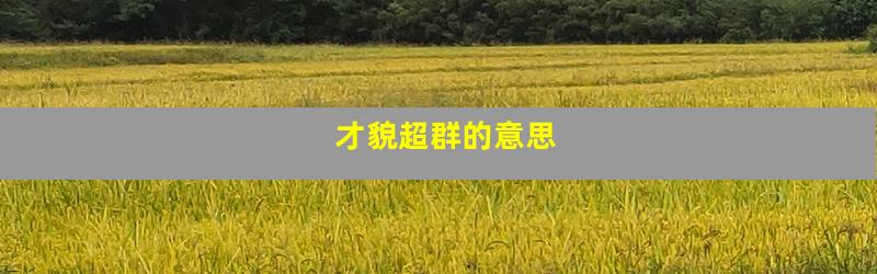 才貌超群的意思
