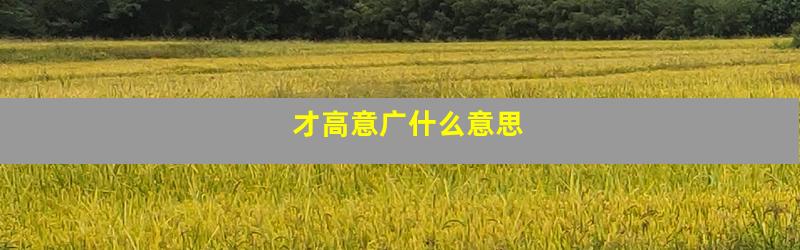 才高意广什么意思