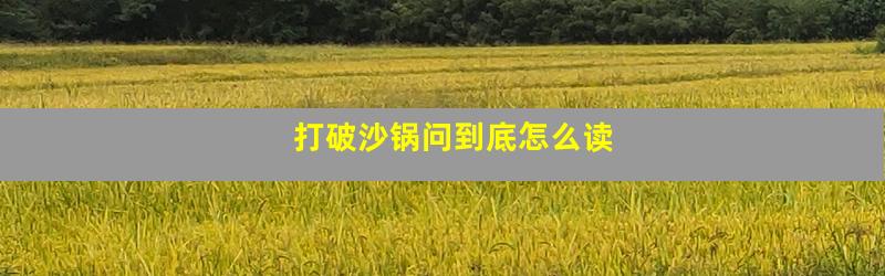 打破沙锅问到底怎么读