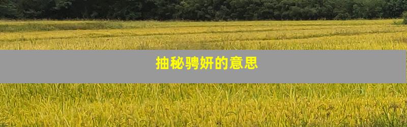 抽秘骋妍的意思