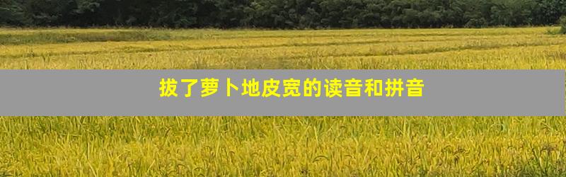 拔了萝卜地皮宽的读音和拼音
