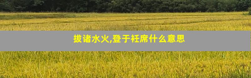 拔诸水火,登于衽席什么意思