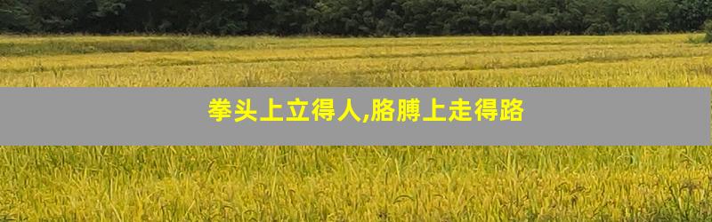 拳头上立得人,胳膊上走得路