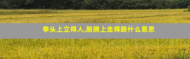 拳头上立得人,胳膊上走得路什么意思