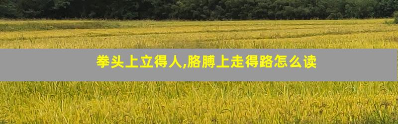 拳头上立得人,胳膊上走得路怎么读