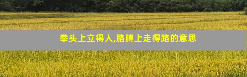 拳头上立得人,胳膊上走得路的意思