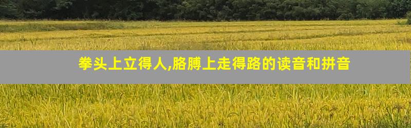 拳头上立得人,胳膊上走得路的读音和拼音