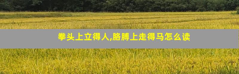 拳头上立得人,胳膊上走得马怎么读